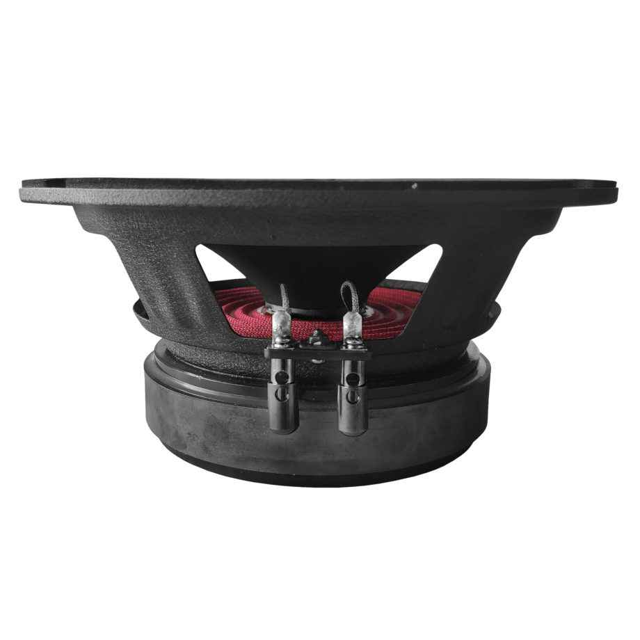 Акус. сист. DL Audio Phoenix Hybrid Neo 200