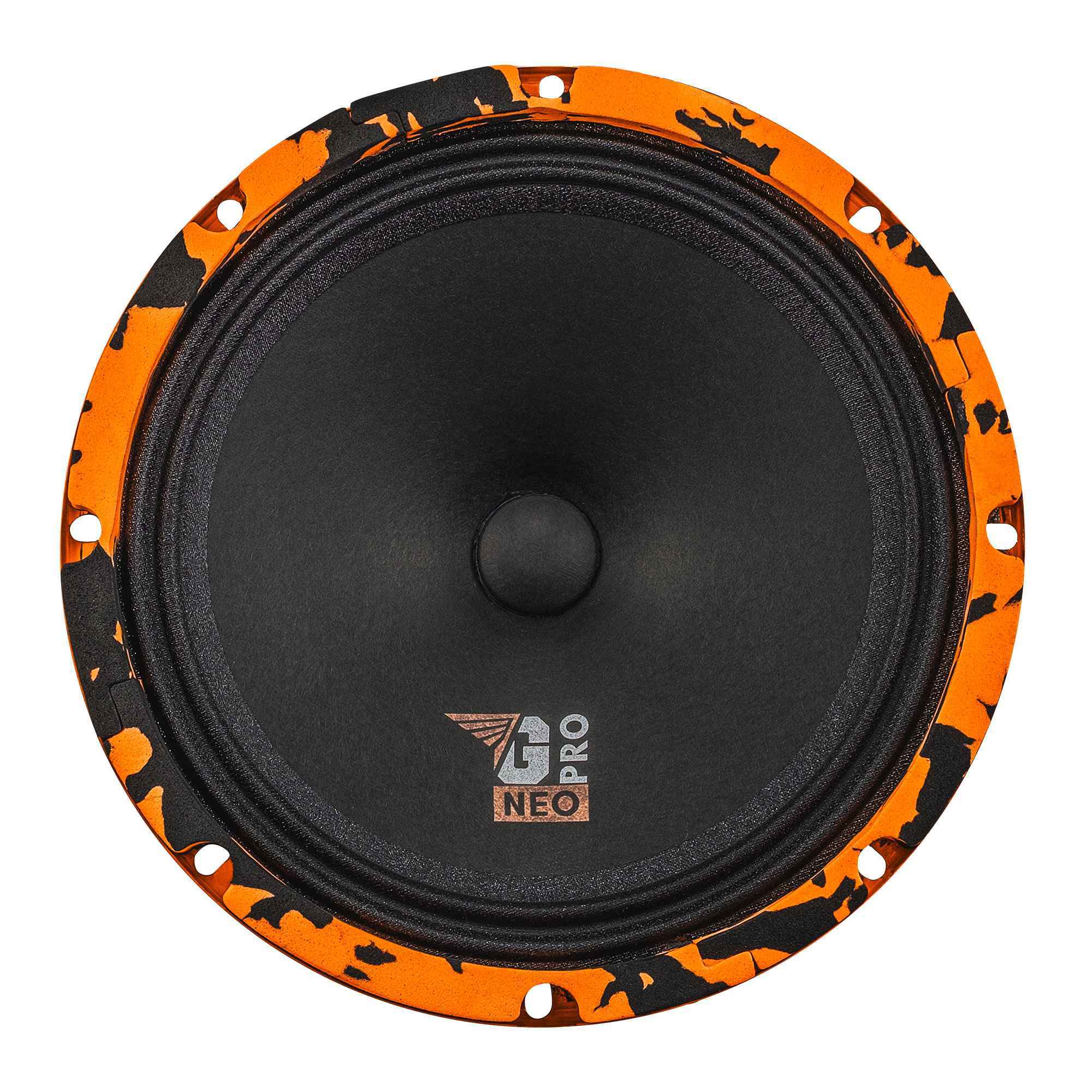DL Audio Gryphon Pro 200 NEO