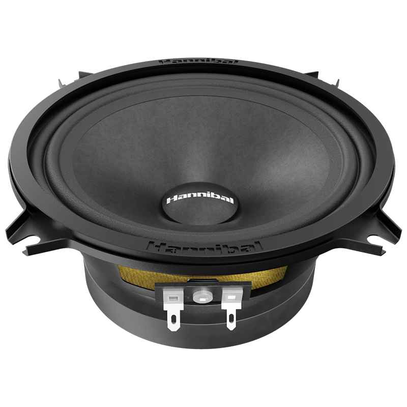 Alphard Hannibal MH-50, среднечастотные динамики