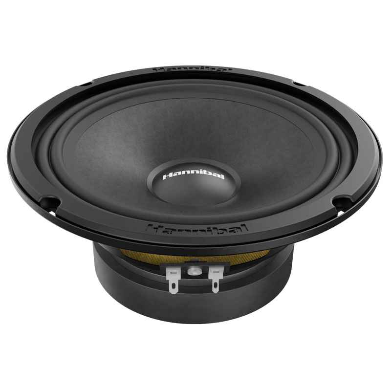 Alphard Hannibal MH-60, среднечастотные динамики