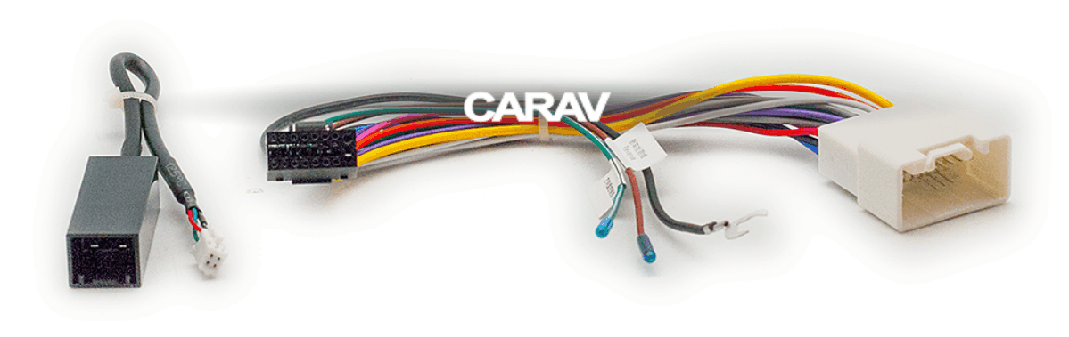 CARAV 16-010