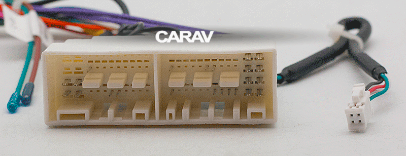 CARAV 16-005