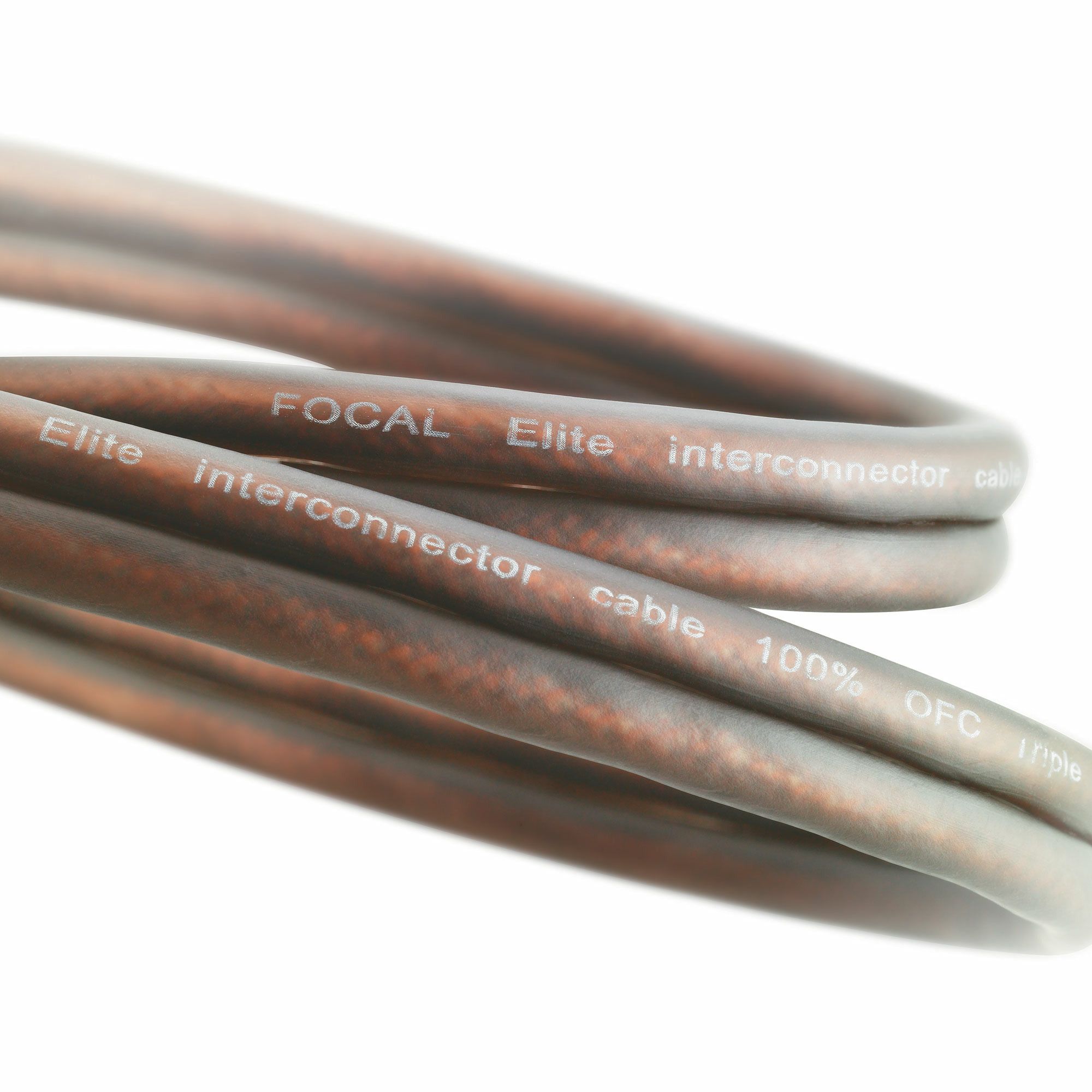 FOCAL ER 1 кабели межблочные