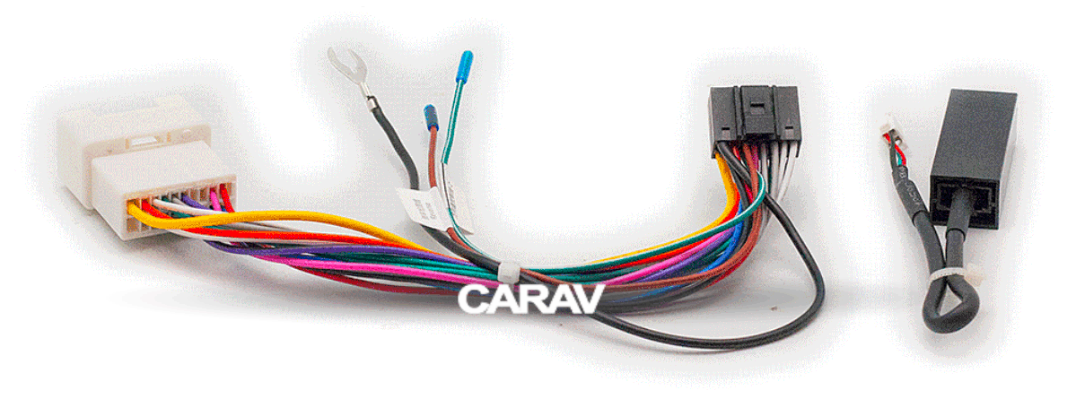 CARAV 16-010