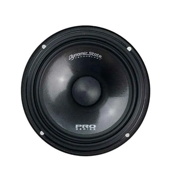 Dynamic State PRO PM-165.3, среднечастотный динамик