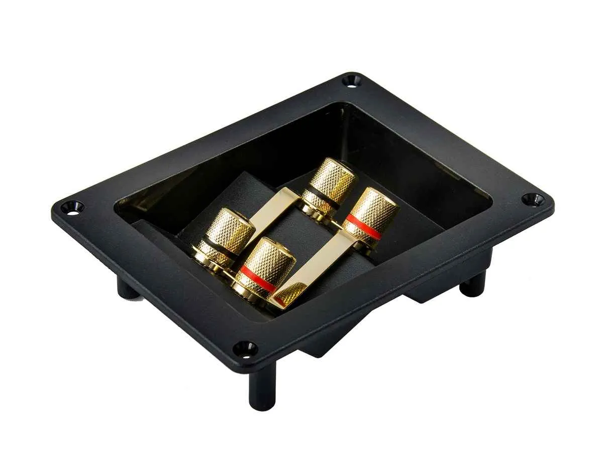 Aura WTB-930P Терминал для подключения сабвуфера