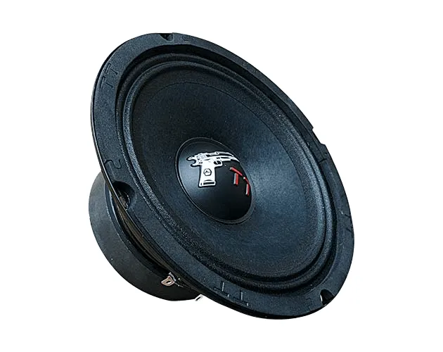 Ural TT-165, среднечастотные динамики